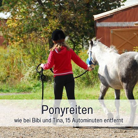 Natur-Chalet Zum Nationalpark Franz Inkl. E-Auto Allenbach Екстериор снимка