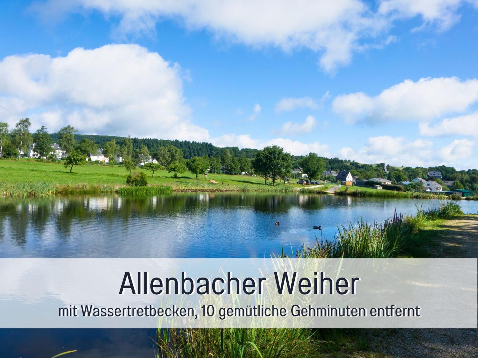 Natur-Chalet Zum Nationalpark Franz Inkl. E-Auto Allenbach Екстериор снимка