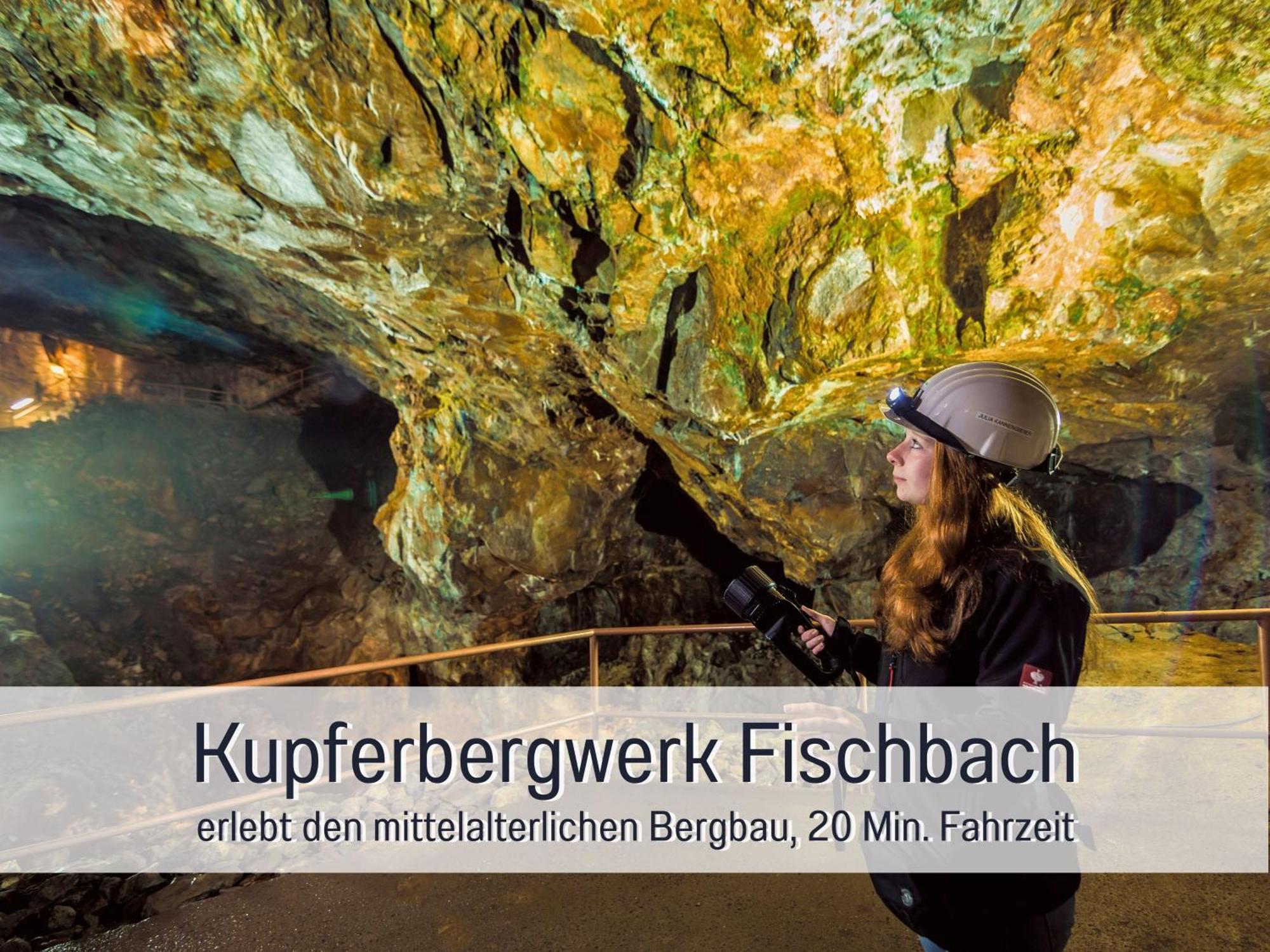 Natur-Chalet Zum Nationalpark Franz Inkl. E-Auto Allenbach Екстериор снимка