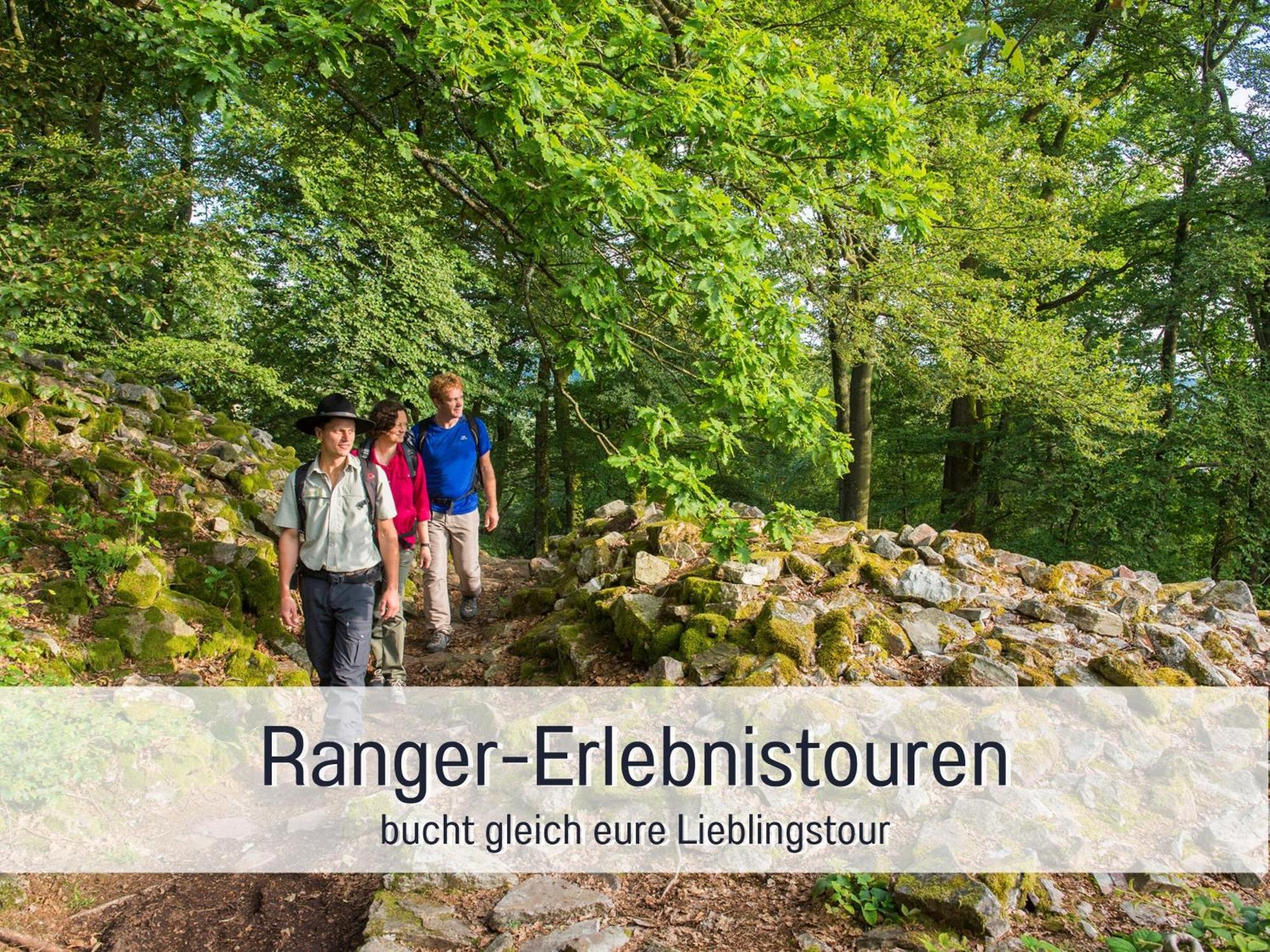 Natur-Chalet Zum Nationalpark Franz Inkl. E-Auto Allenbach Екстериор снимка