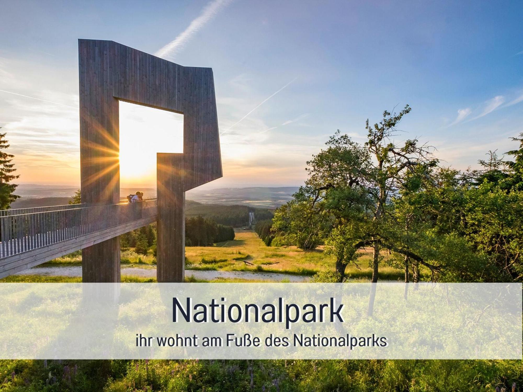 Natur-Chalet Zum Nationalpark Franz Inkl. E-Auto Allenbach Екстериор снимка